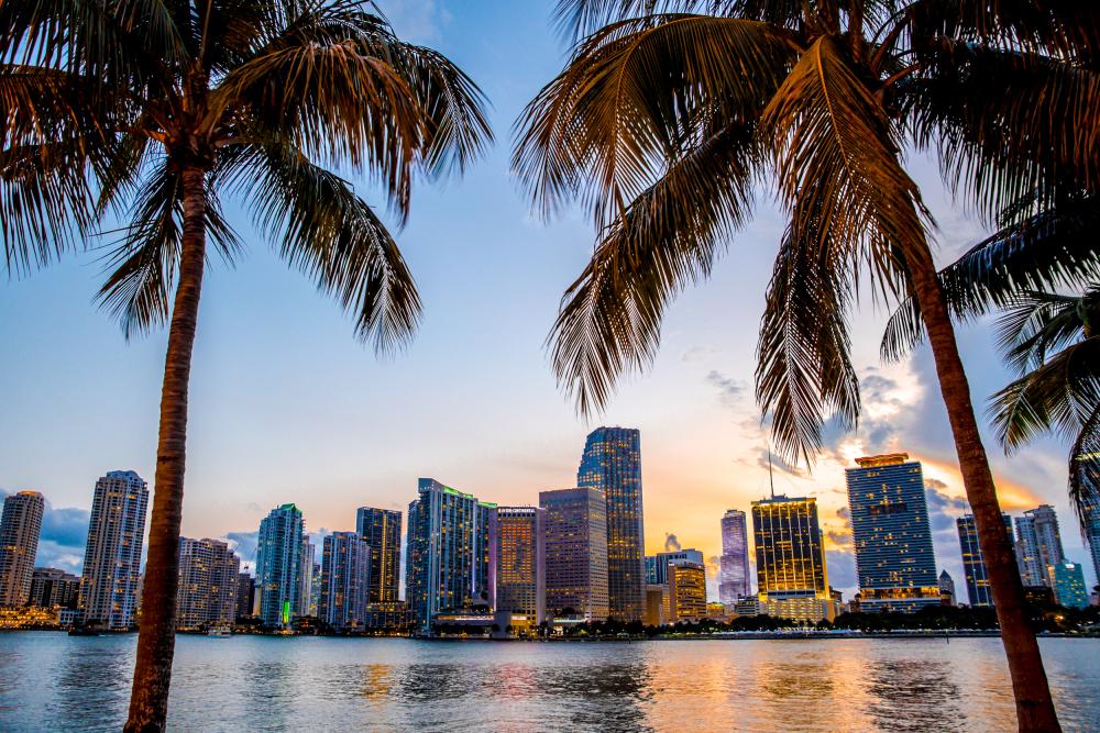 Miami bay and skyline during sunset